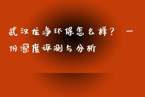 武汉龙净环保怎么样？ 一份深度评测与分析_https://wap.15771688.com_国际期货_第1张