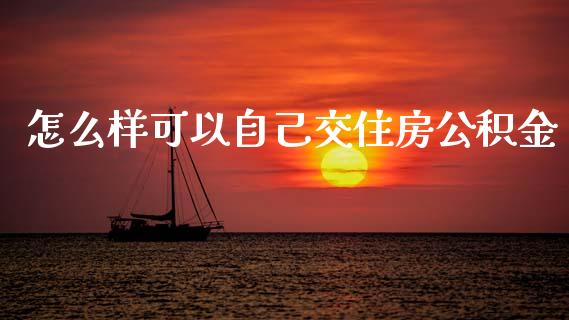 怎么样可以自己交住房公积金_https://wap.15771688.com_期货手续费一览表_第1张