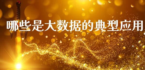 哪些是大数据的典型应用_https://wap.15771688.com_期货手续费一览表_第1张