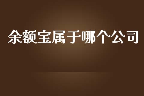 余额宝属于哪个公司_https://wap.15771688.com_期货手续费一览表_第1张