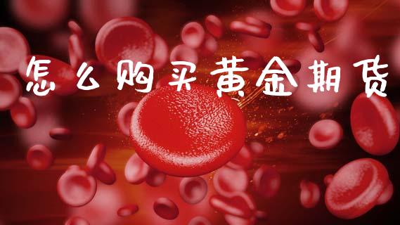 怎么购买黄金期货_https://wap.15771688.com_道指期货_第1张