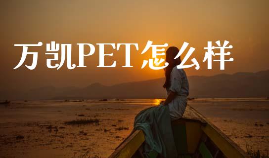万凯PET怎么样_https://wap.15771688.com_期货手续费一览表_第1张