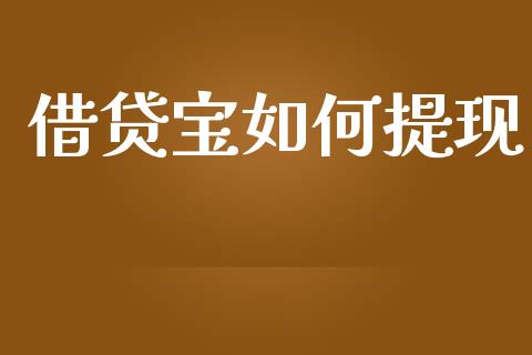 借贷宝如何提现_https://wap.15771688.com_道指期货_第1张