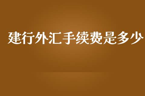 建行外汇手续费是多少_https://wap.15771688.com_期货手续费一览表_第1张