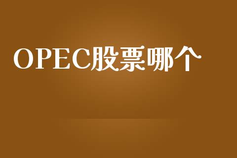 OPEC股票哪个_https://wap.15771688.com_期货手续费一览表_第1张